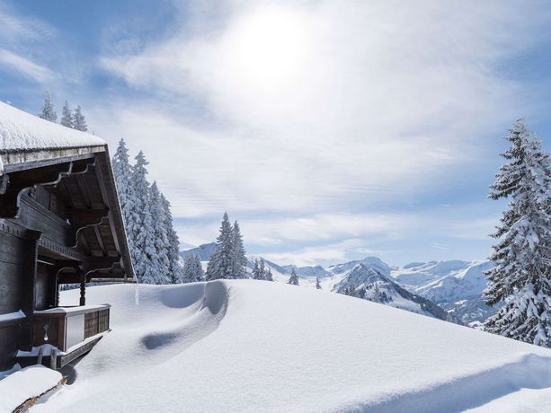 The Alpina Gstaad - 24