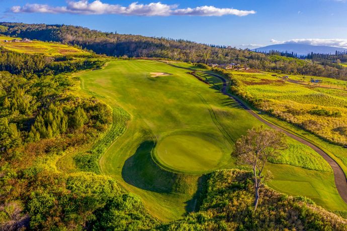 Verified hotel review - The Ritz-Carlton Kapalua - 8