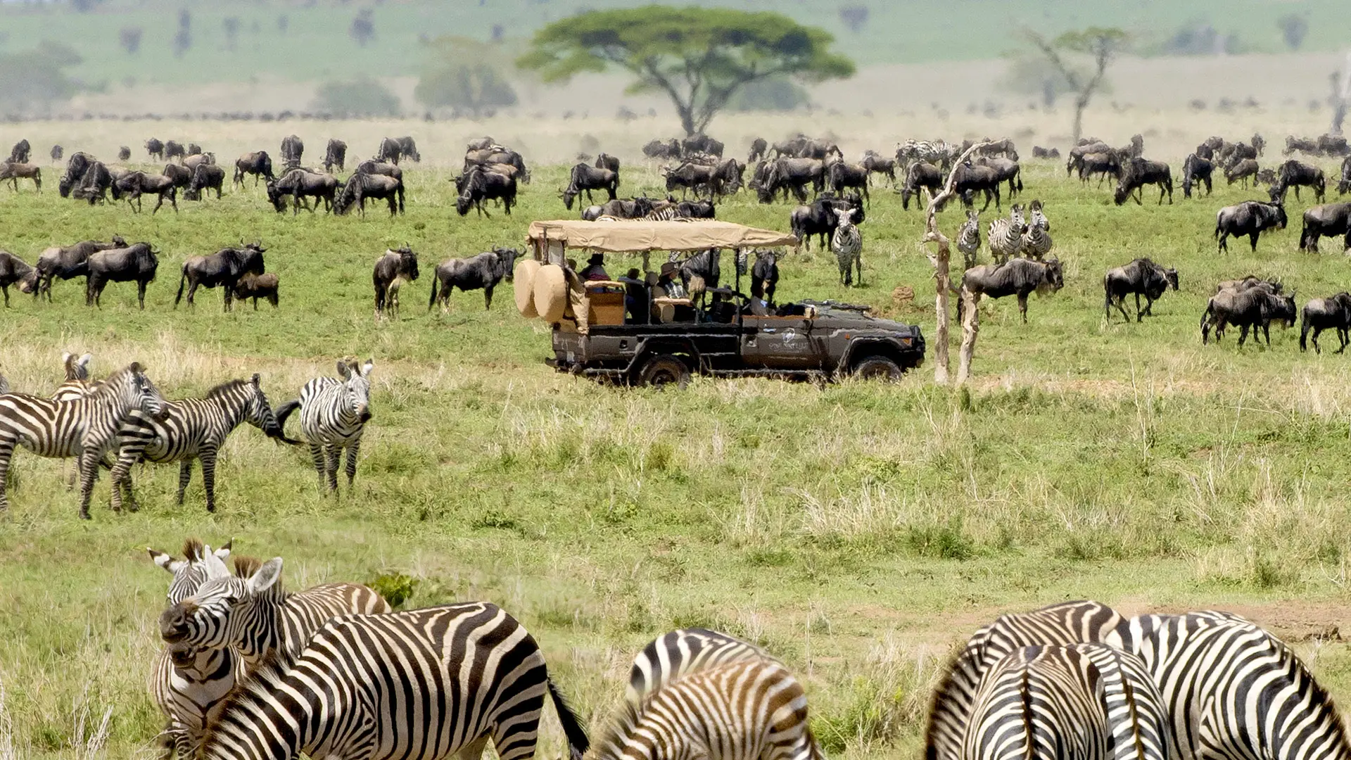 Review of One Nature Nyaruswiga Serengeti - 10