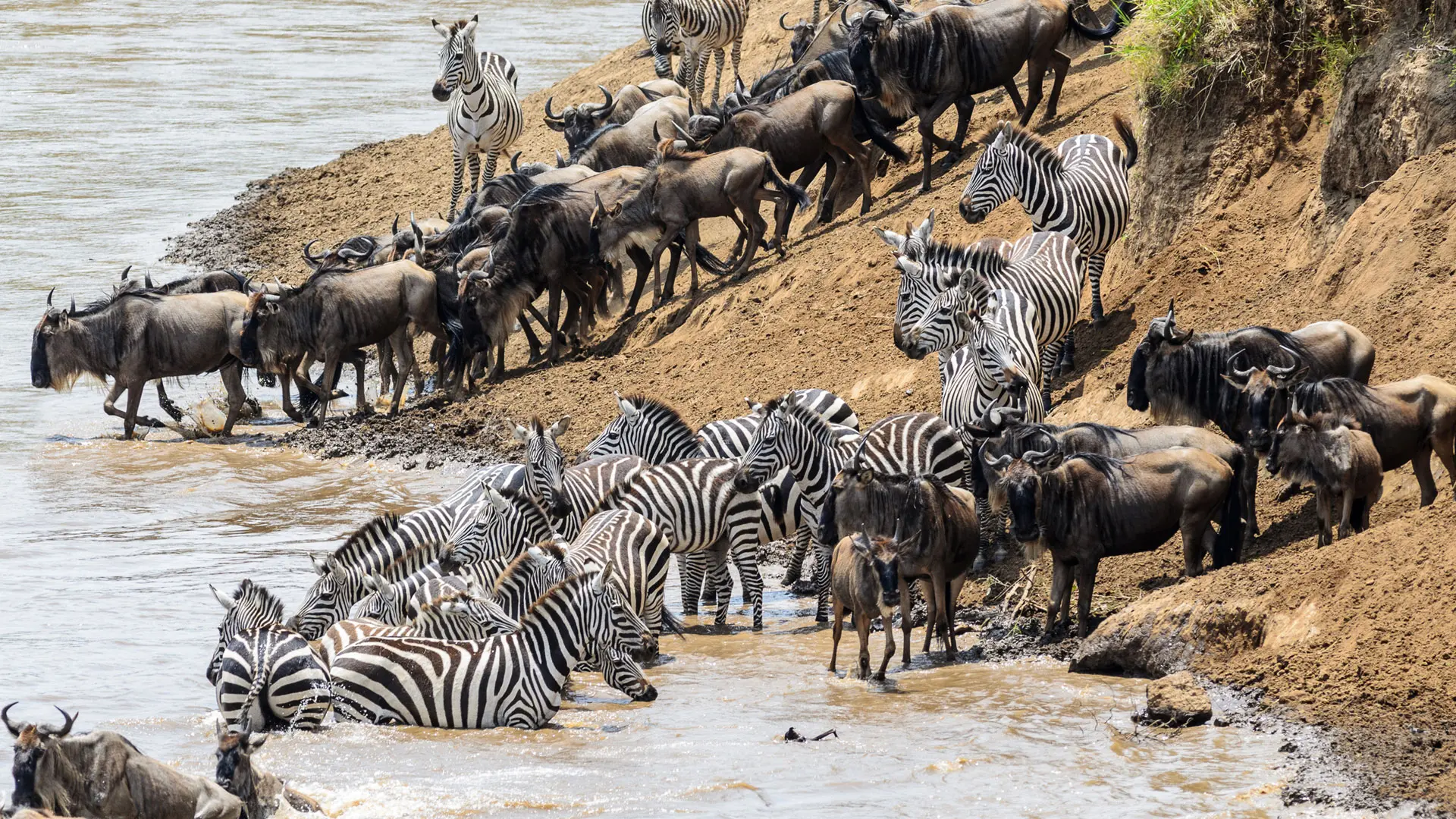 Review of One Nature Nyaruswiga Serengeti - 9