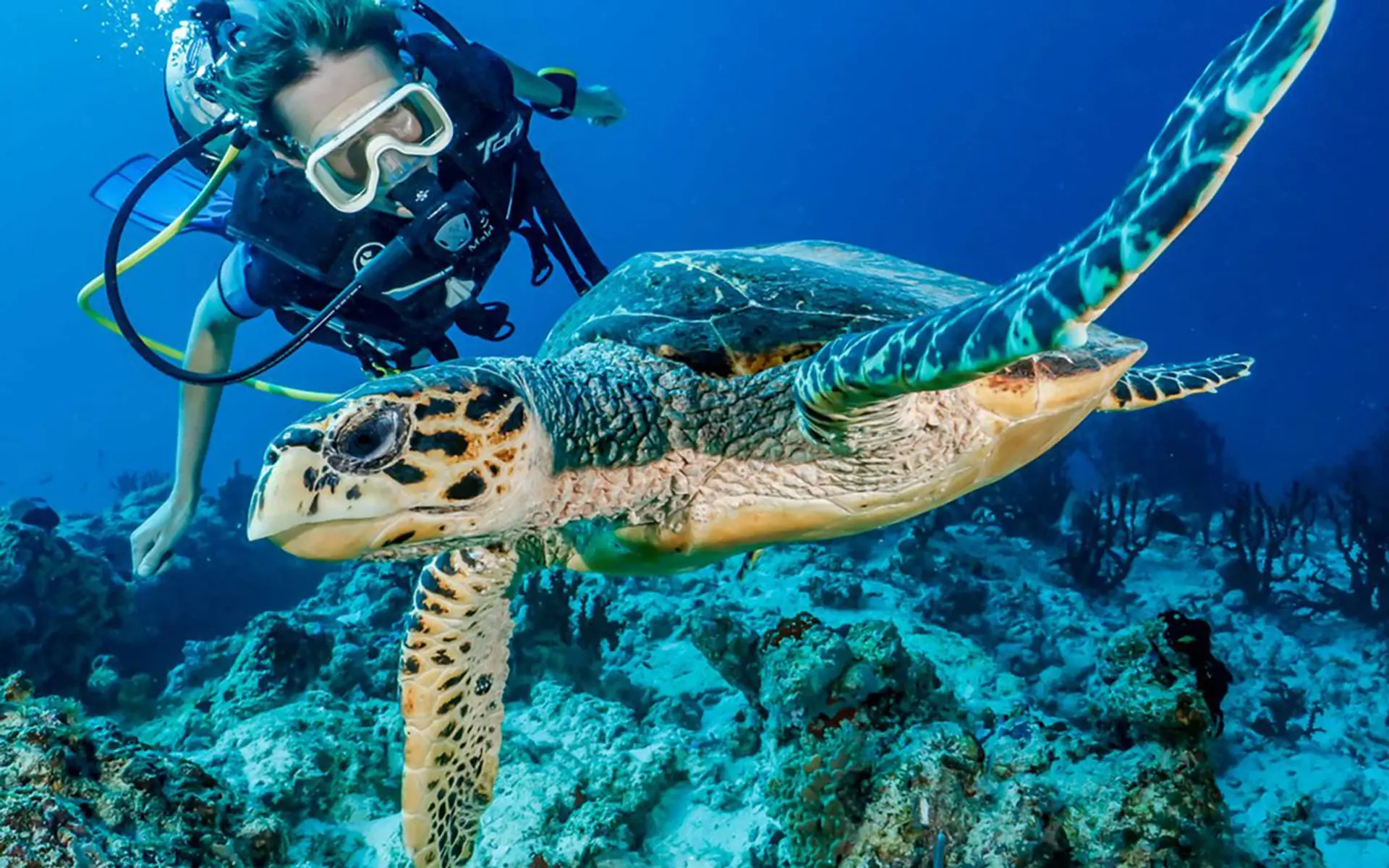 Hotel review Sustainability' - One&Only Reethi Rah - 0
