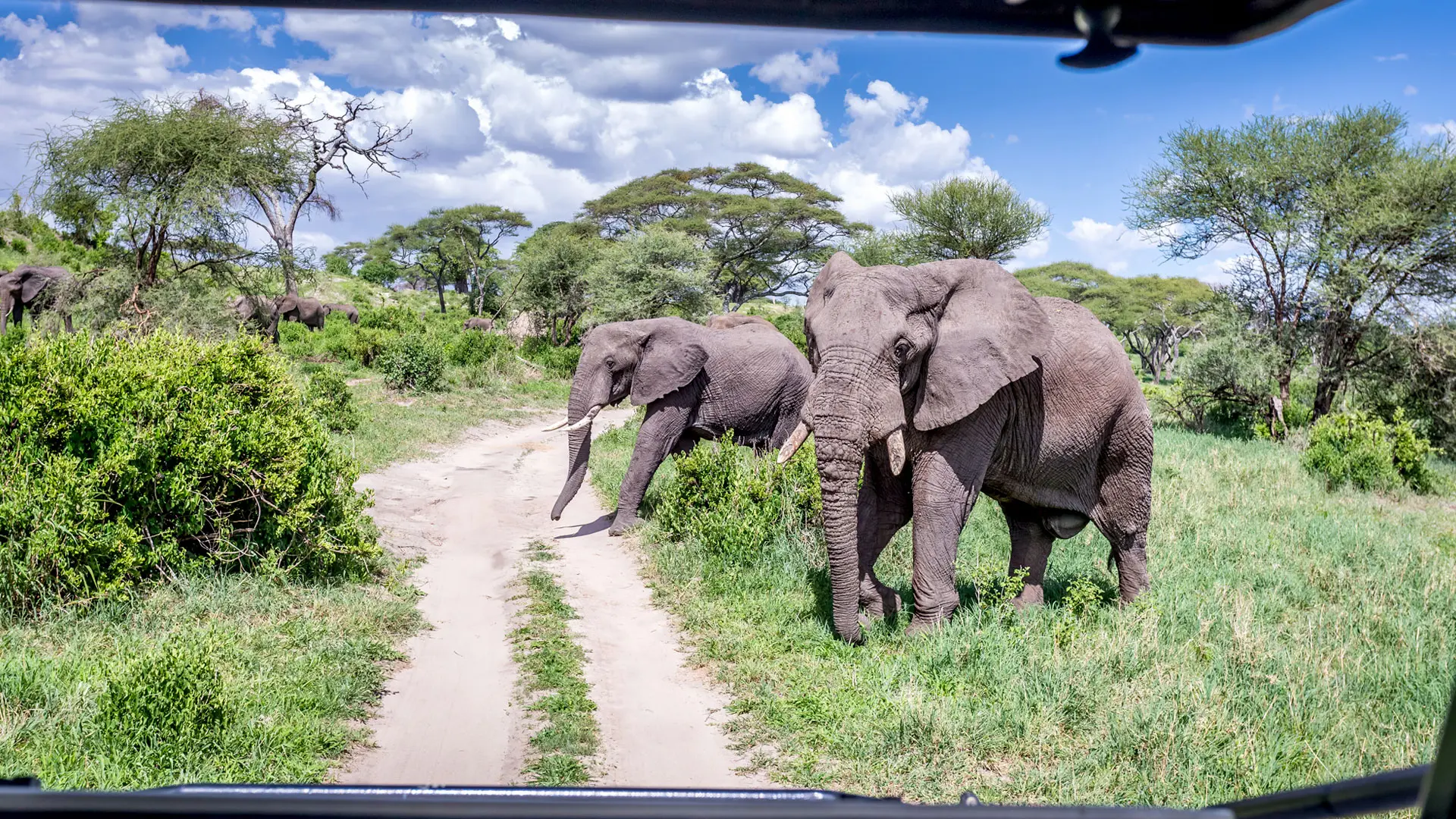 Review of One Nature Nyaruswiga Serengeti