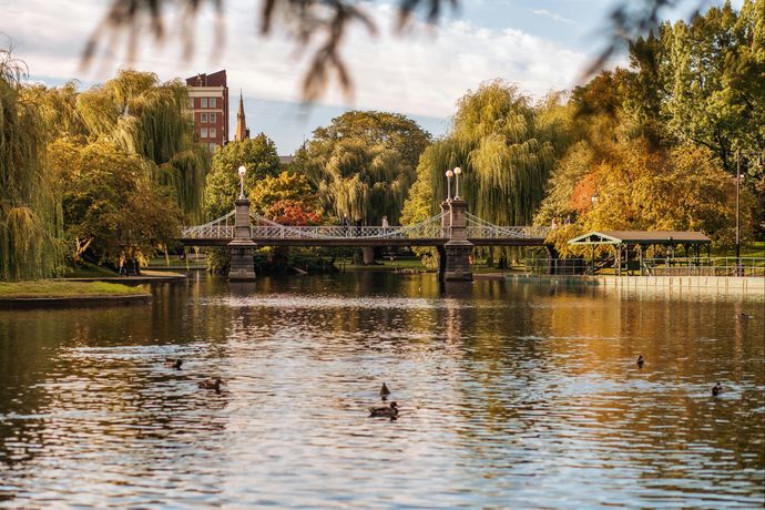 Verified hotel review - Four Seasons Boston - 19