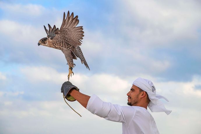 Verified hotel review - Anantara Sir Bani Yas Island Al Yamm Villa Resort - 31