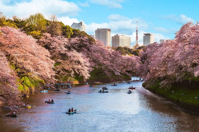 Verified hotel review - Four Seasons Hotel Tokyo at Marunouchi - 19