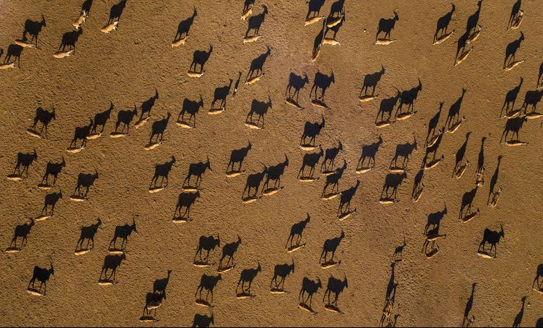 Verified hotel review - Anantara Sir Bani Yas Island Al Yamm Villa Resort - 0