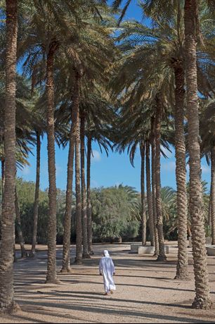 Verified hotel review - Anantara Sir Bani Yas Island Al Yamm Villa Resort - 33
