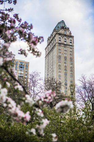 Verified hotel review - The Pierre, A Taj Hotel, New York - 31